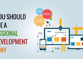 Professional Web Design Company: Elevating Digital Identities with Tailored Services