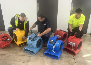 Flood Carpet Cleaning