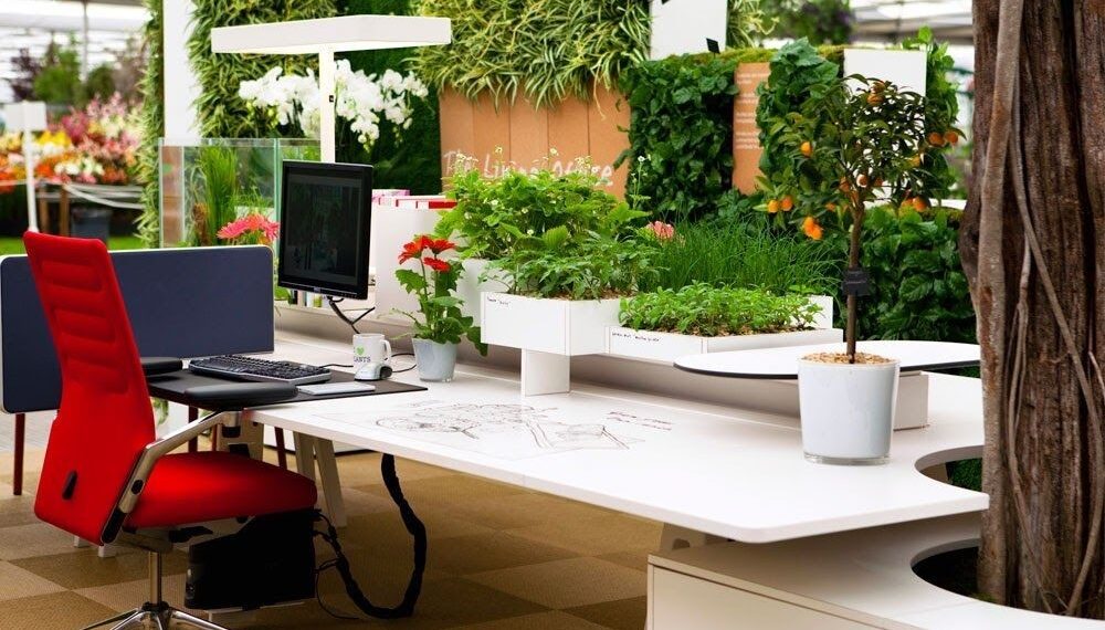 Indoor Plants in Melbourne