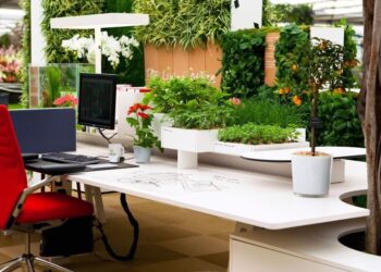 Indoor Plants in Melbourne