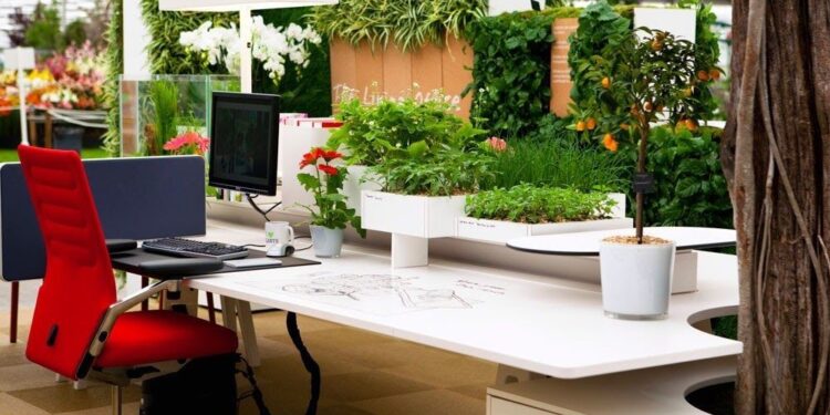 Indoor Plants in Melbourne