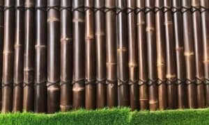 Bamboo Fencing Panels Brisbane